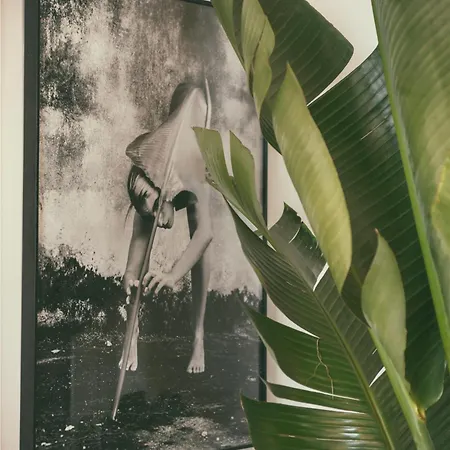 Aristide - Small Luxury Of The World