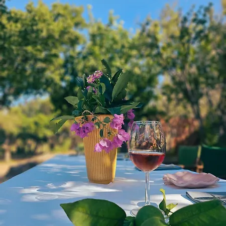 Ξενοδοχείο Aristide - Small Luxury Of The World