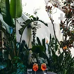 Aristide - Small Luxury Of The World 5*
