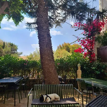 Aristide - Small Luxury Of The World 5* Ermoupoli