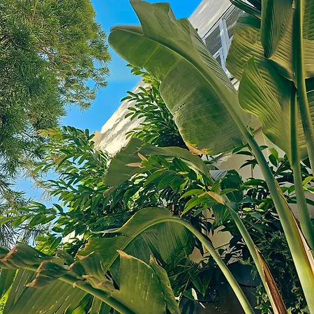 Aristide - Small Luxury Of The World Hotell Ermoupoli